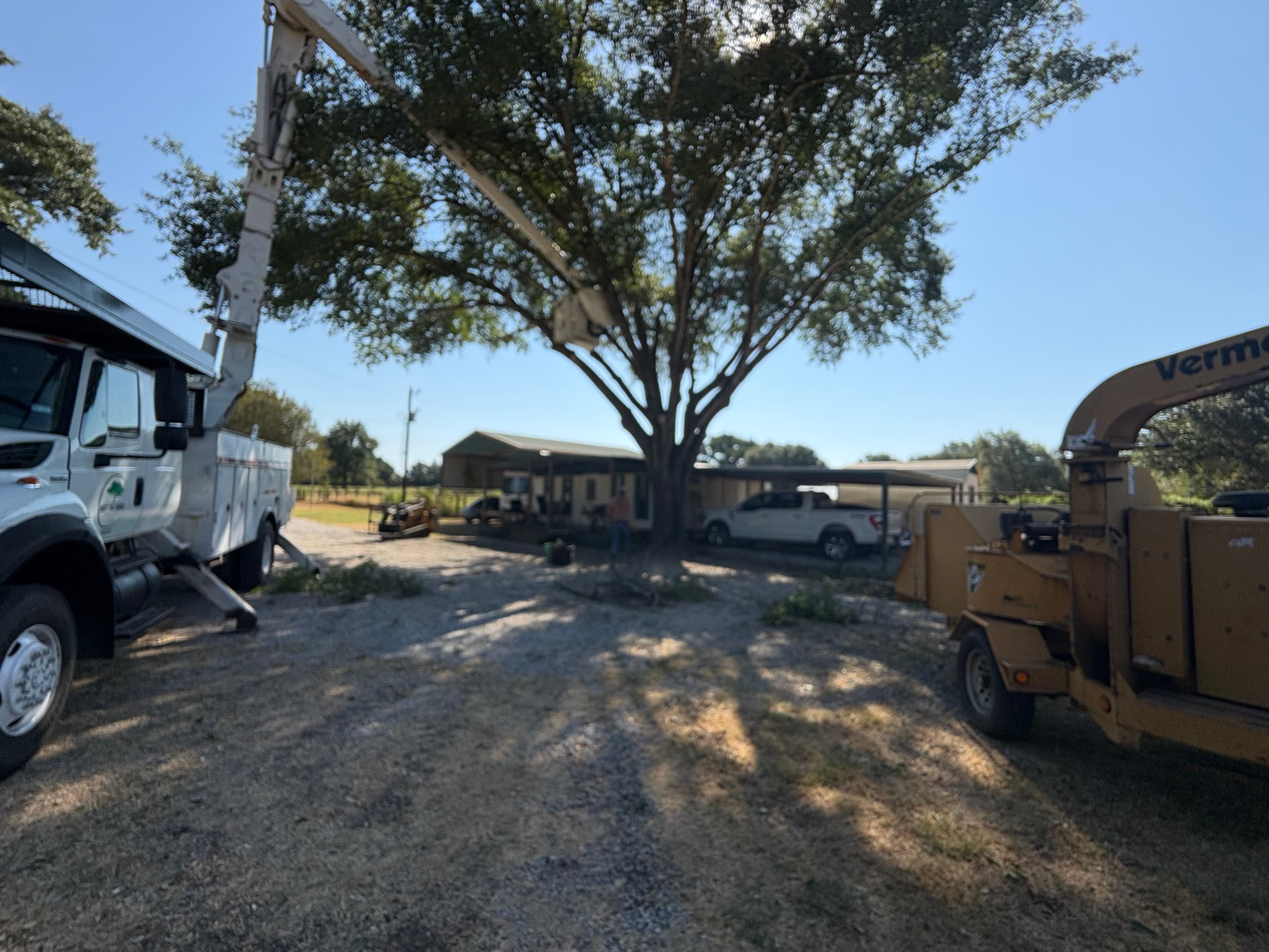 Rick's Tree Service project