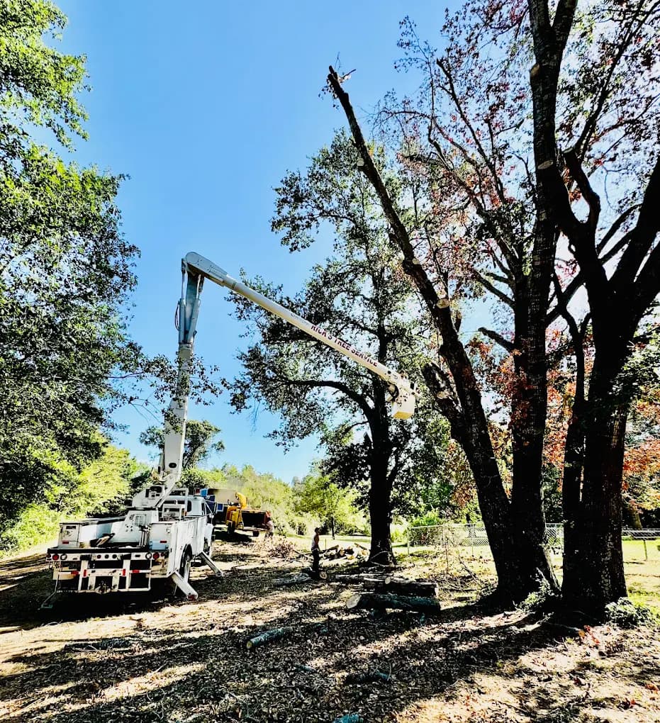 Rick's Tree Service project