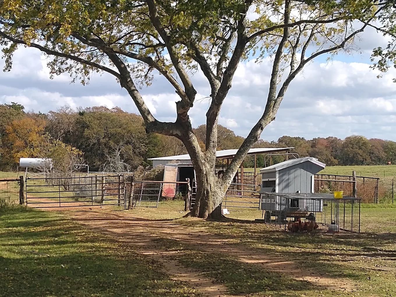 Rick's Tree Service project